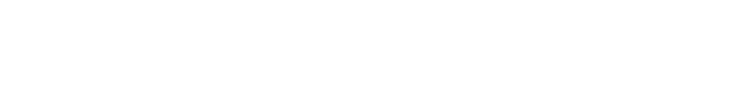LanguageBoost
